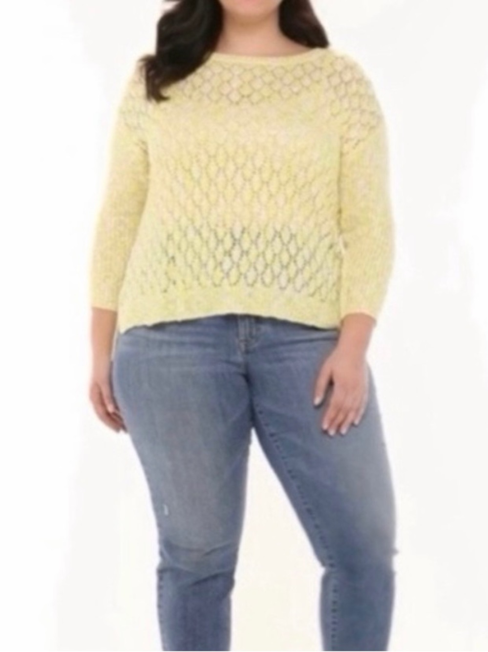 Evri Crewneck Pointelle Knit Pullover Sweater‎